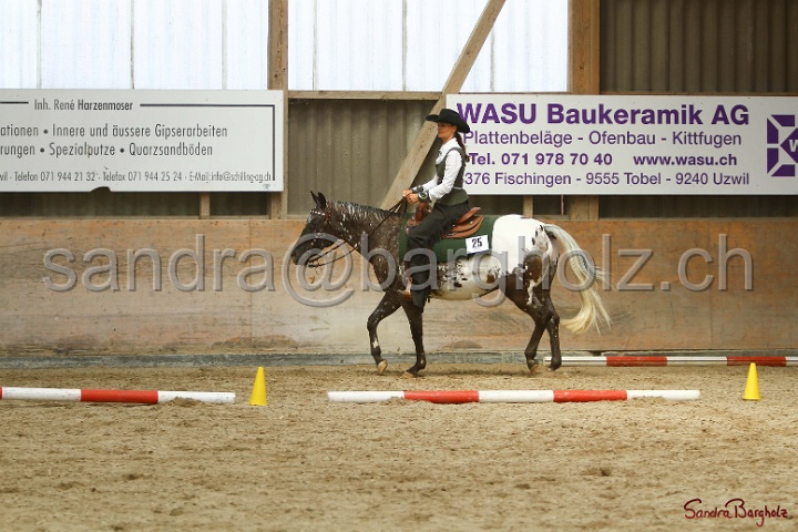 28-ApHC OT_006.jpg